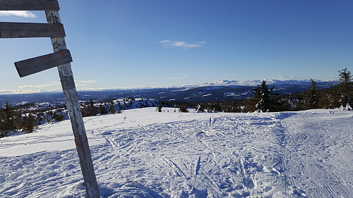 Mot Synnfjellet