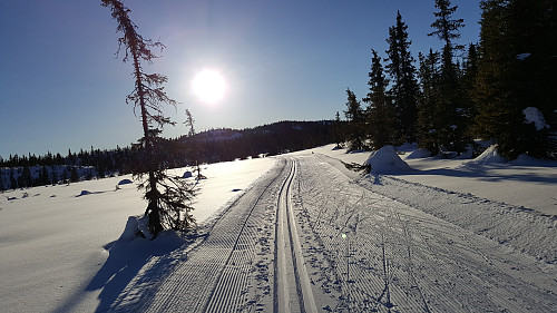 På nersida av vegen