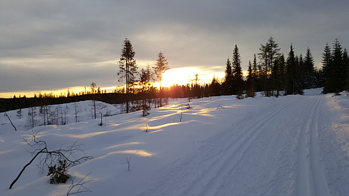 Fint på ski i solnedgang
