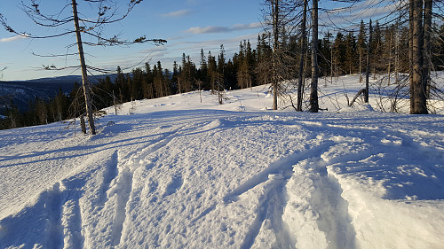 På Finsrudbekkhøgda
