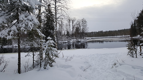 Ved Birkebeinerløypa