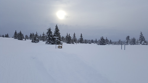 Krysset ved Nevelosvegen