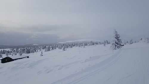 Trolløypa ved Løvisåsen