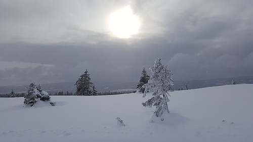 Langs Trolløypa