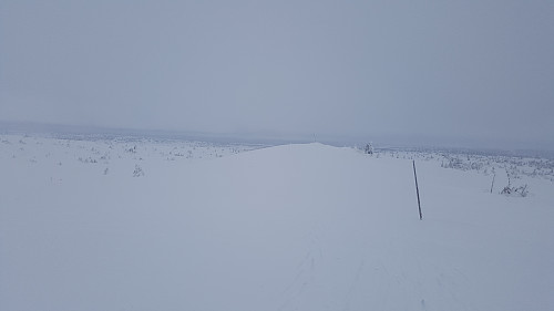 På Sjusjøfjellet