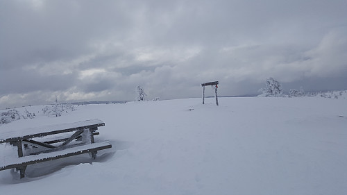 På Sjusjøfjellet