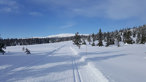 Mot Nevelfjell