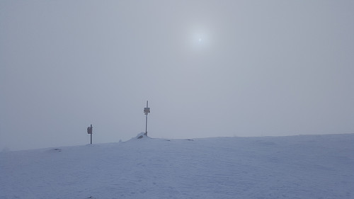 På Lunkefjell igjen