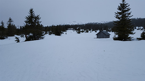 Ved Nevelosen