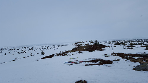 Sjusjøfjellet