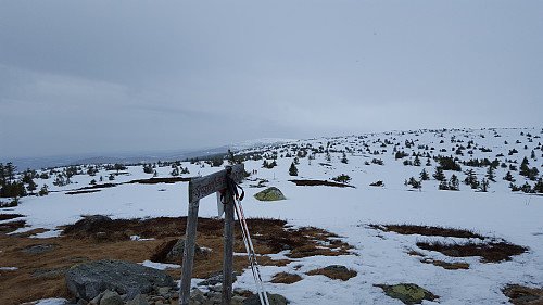På Sjusjøfjellet