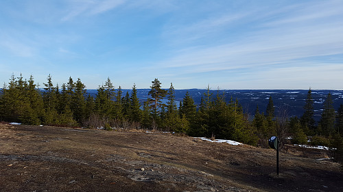 På Balbergkampen