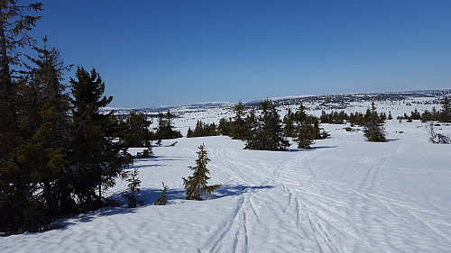 På Gjestebodåsen