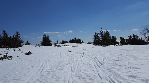På Gjestebodåsen
