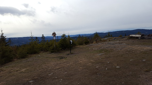 På Balbergkampen