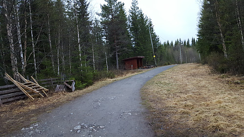 Ved Hammerkoia