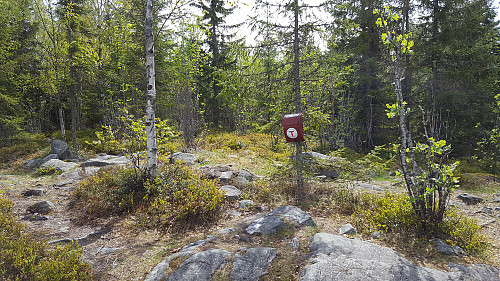 På Sauhaugen