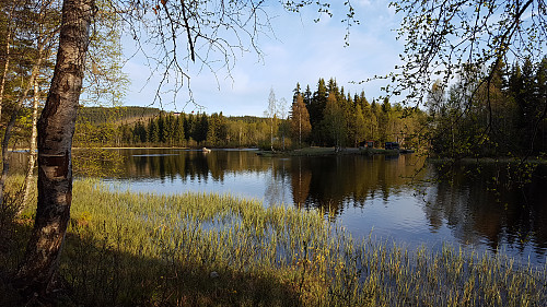 Fra Krokbua mot Kroken