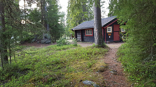 Ved Krokbua