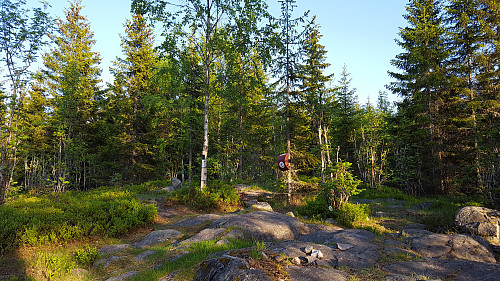 På Sauhaugen