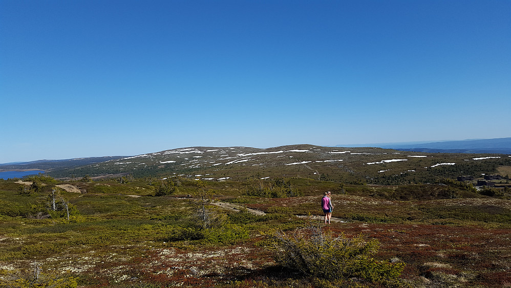 Godt synlige råk i Øyerfjellet