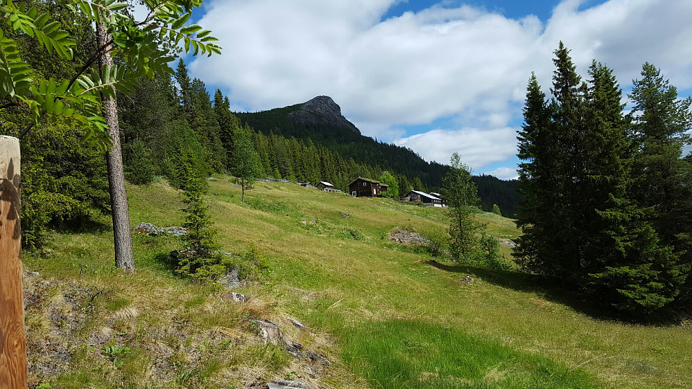 Visknutheimen