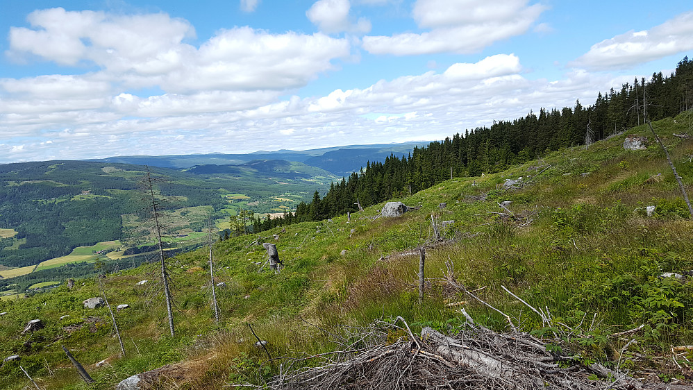 Oppe, ser mot Gausdal Vestfjell, Langsua