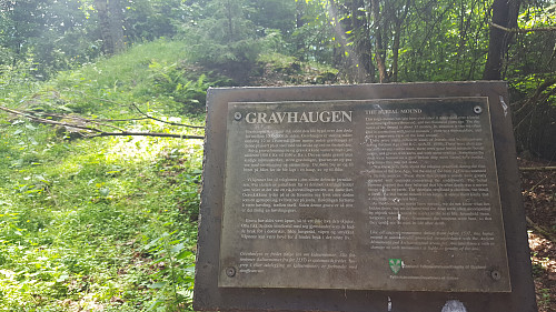 Gravhaug