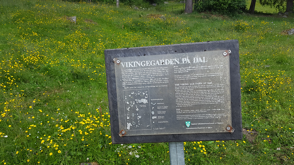 Informasjon om vikinggard