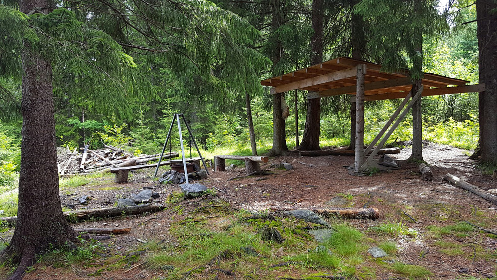På Pinikkhaugen