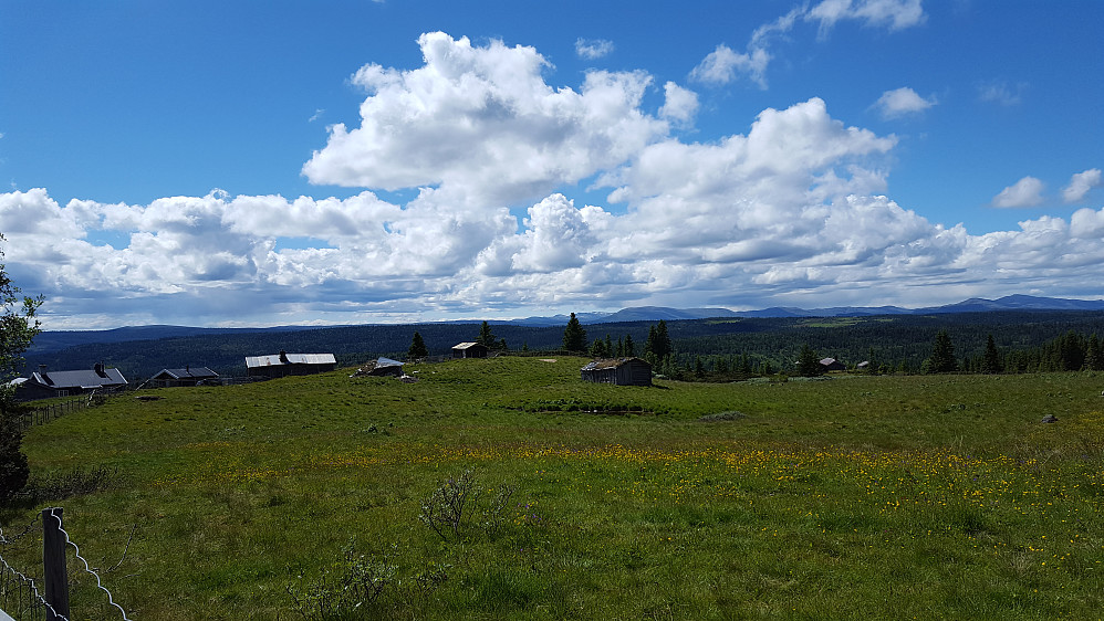 Fint på Gammelsetra