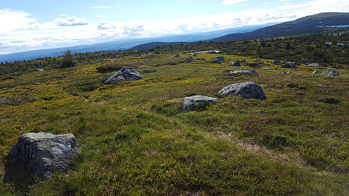 På Høgfjellet