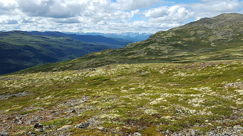 Mot Storhøa og Jotunheimen