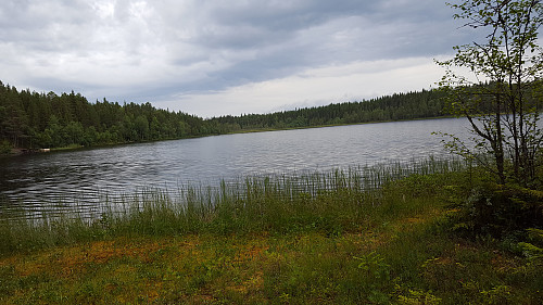 Ved Abbortjern