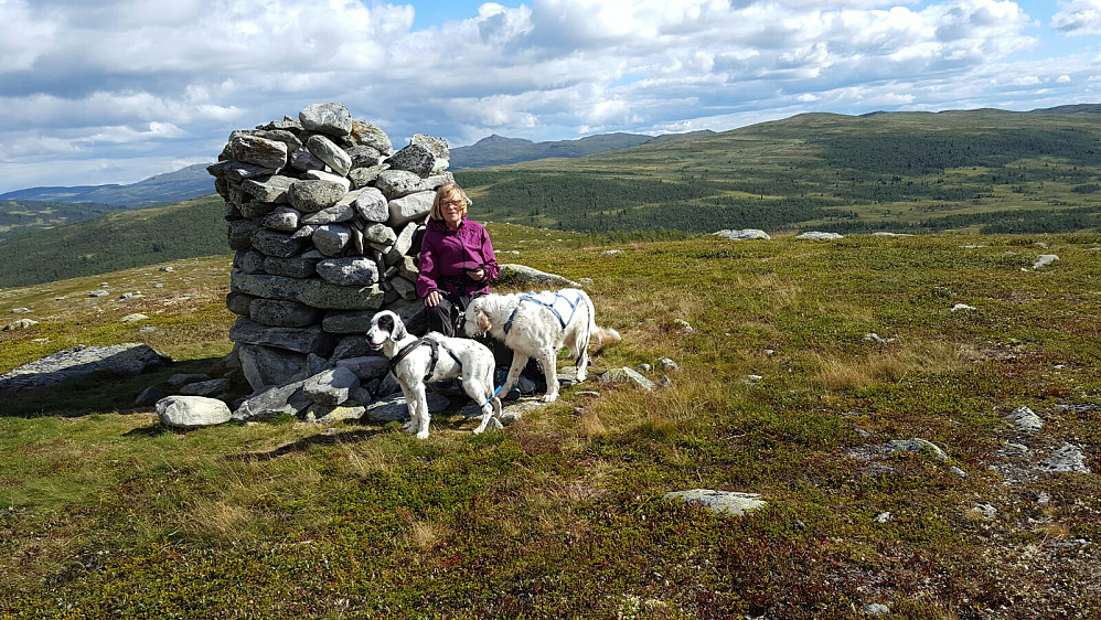 Anne Grete, Mio og Trym på toppen