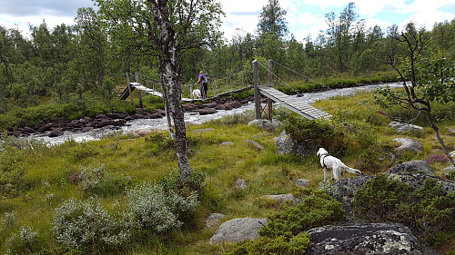 Gikk over sammen med Mio