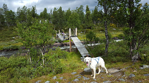 Måtte bære Trym