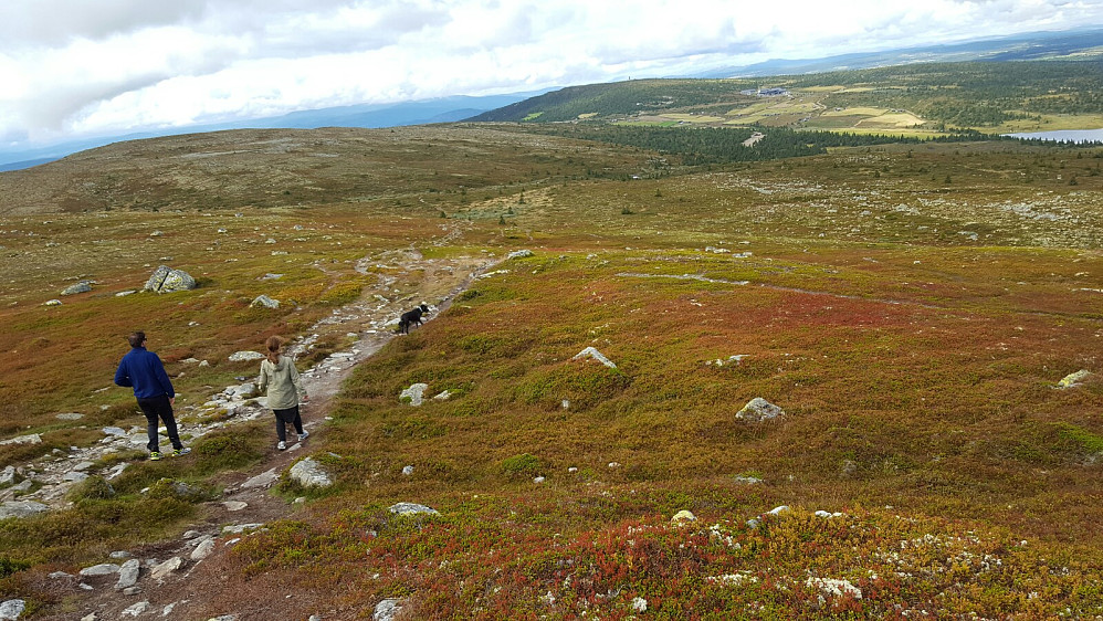 Begynner å bli høstfarger i fjellet