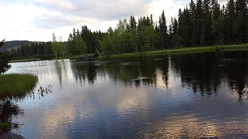 Ved Krokbua