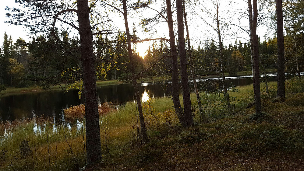 Solnedgang