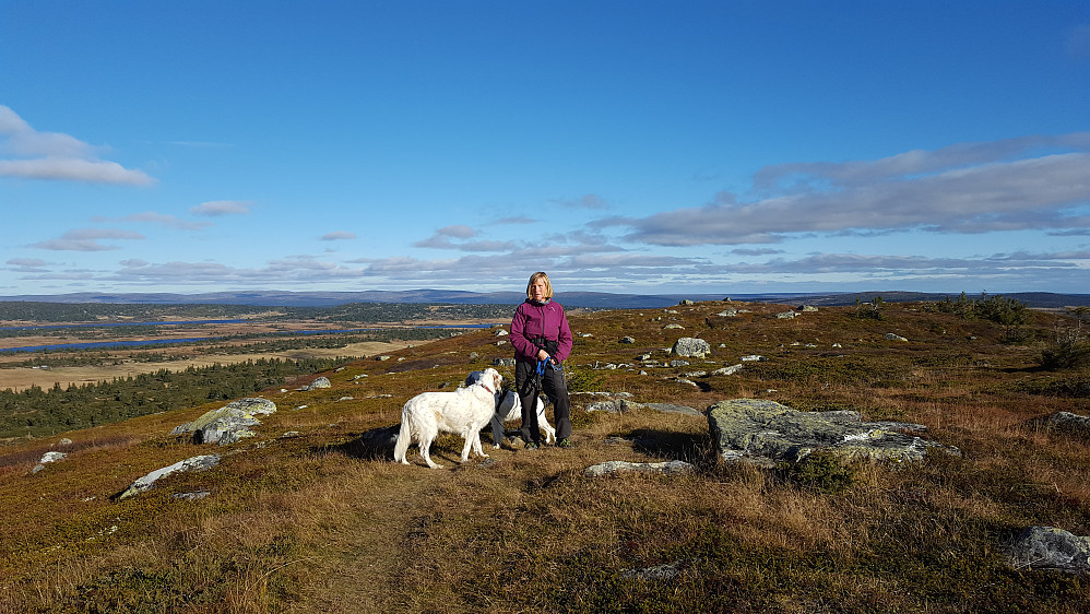 Anne Grete og hundene på Høgfjellet