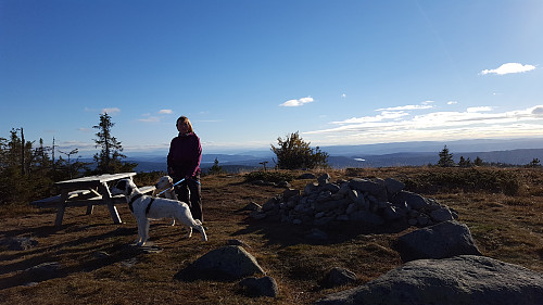 Anne Grete og hundene på Vesle Lunkefjell