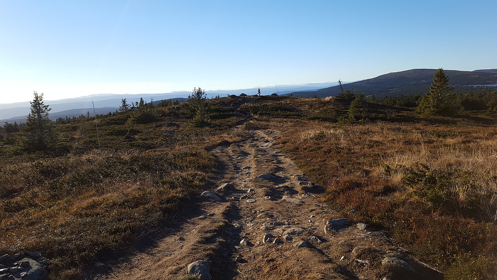 Flott på Nordseterfjellet