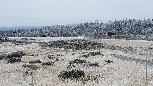 Vinteren nærmer seg på Nysetra