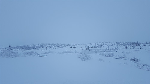 Ved Melsjøoset
