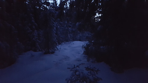På Kanthaugen
