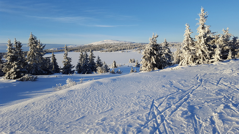 Mot Nevelfjell