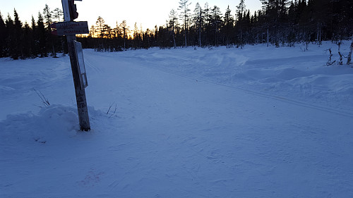 På Sagmyra