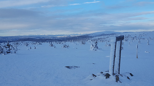 På Sjusjøfjellet