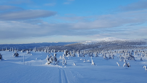 Fint mot Nevelfjell